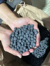 令和5年産 新豆 滋賀県産 丹波 黒大豆 竜王黒大豆 農家直送 2L 上サイズ 250g 袋入り 黒豆 くろまめ クロマメ 丹波 丹波黒豆 丹波大黒豆